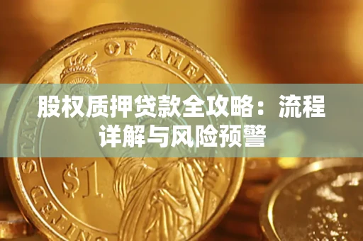 武汉股权质押贷款全攻略：流程详解与风险预警