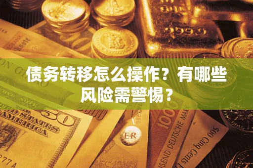武汉债务转移怎么操作？有哪些风险需警惕？