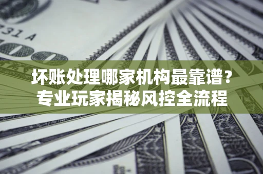 武汉坏账处理哪家机构最靠谱？专业玩家揭秘风控全流程