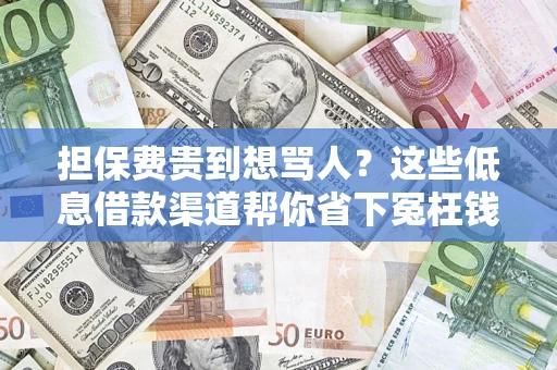 武汉担保费贵到想骂人？这些低息借款渠道帮你省下冤枉钱