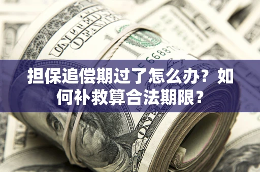 武汉担保追偿期过了怎么办？如何补救算合法期限？