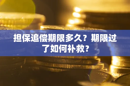 武汉担保追偿期限多久？期限过了如何补救？