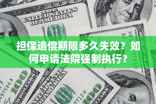 武汉担保追偿期限多久失效？如何申请法院强制执行？