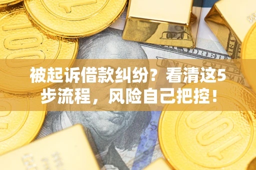 武汉被起诉借款纠纷？看清这5步流程，风险自己把控！