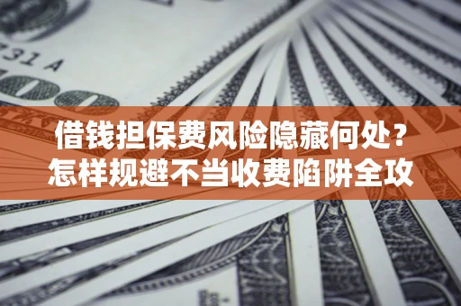 武汉借钱担保费风险隐藏何处？怎样规避不当收费陷阱全攻略！