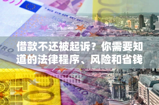 武汉借款不还被起诉？你需要知道的法律程序、风险和省钱技巧